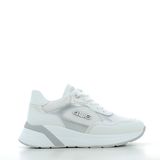 Scarpe Paciotti 4US donna 173P26 WHITE SILV