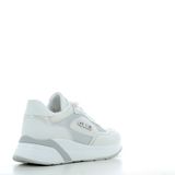 Scarpe Paciotti 4US donna 173P26 WHITE SILV