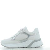 Scarpe Paciotti 4US donna 173P26 WHITE SILV