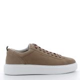 Scarpe Ambitious uomo 12015P22 TAUPE