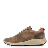 Scarpe Ambitious uomo 134227132A25TOBACCO