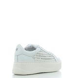 Scarpe Cult donna PERRY 4237 P25 WHITE