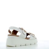 Scarpe Ikaros Donna 2553P25 BIANCO