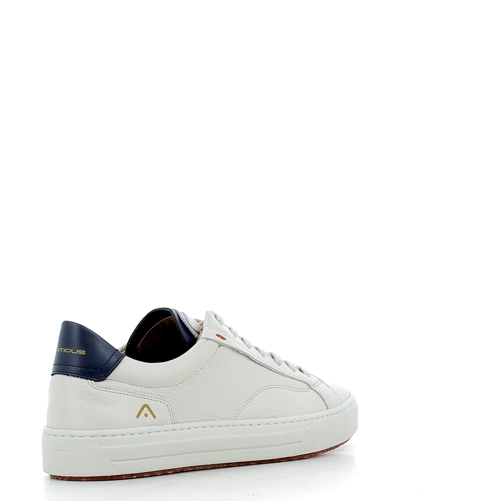 Scarpe Ambitious uomo 112187333P26BEIGE