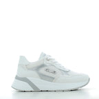 Scarpe Paciotti 4US donna 173P26      WHITE SILV