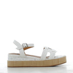 Scarpe Paciotti 4US donna 15P26       WHITE