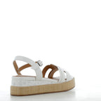Scarpe Paciotti 4US donna 15P26       WHITE