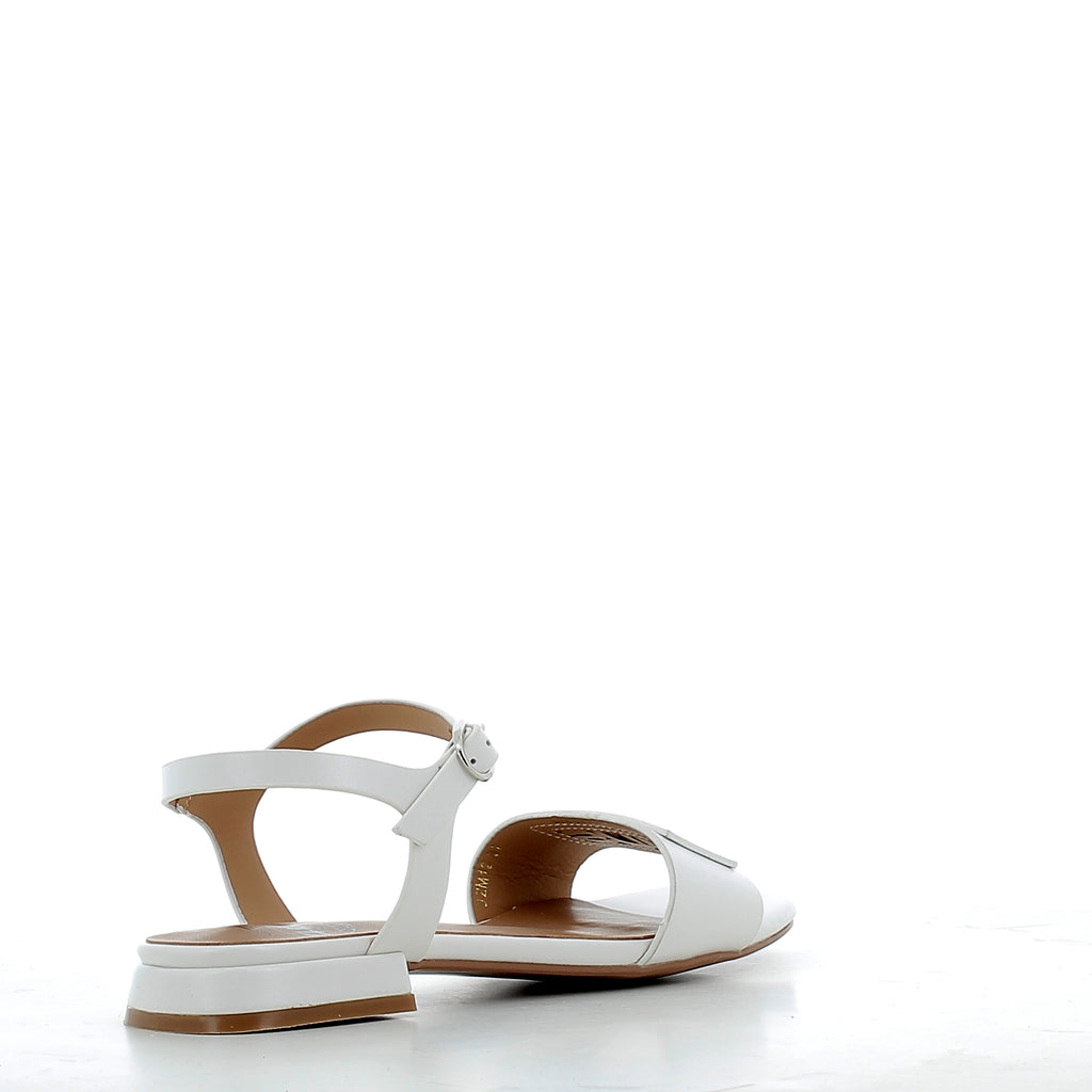 Scarpe Paciotti 4US donna 12P26       WHITE