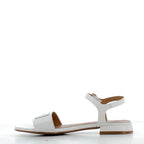 Scarpe Paciotti 4US donna 12P26       WHITE