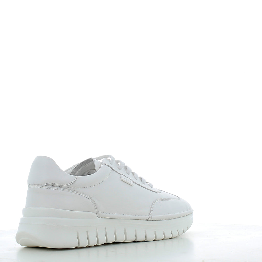 Scarpe Dr.Jell uomo MJ26A1P26   WHITE