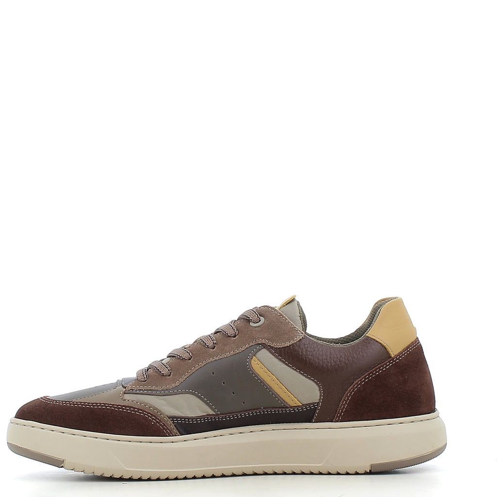 Scarpe Ambitious uomo 14568A26    BROWN