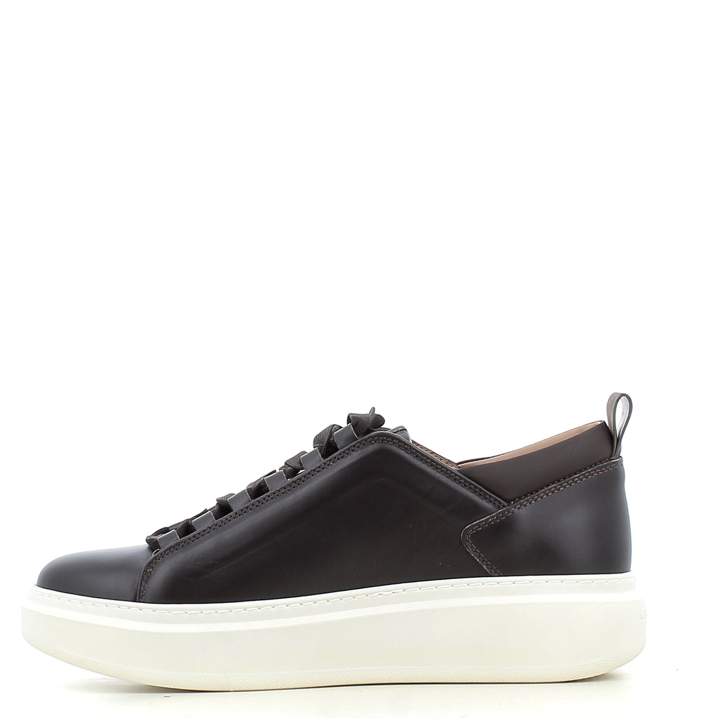 Scarpe Alexander Smith uomo 2319A26     DARK BRO