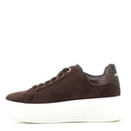 Scarpe Paciotti 4US donna 254A26      BROWN