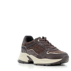 Scarpe Paciotti 4US donna 273A26      BROWN